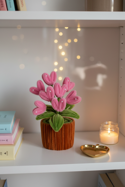 Pink Heart Flower Plant - Bookshelf